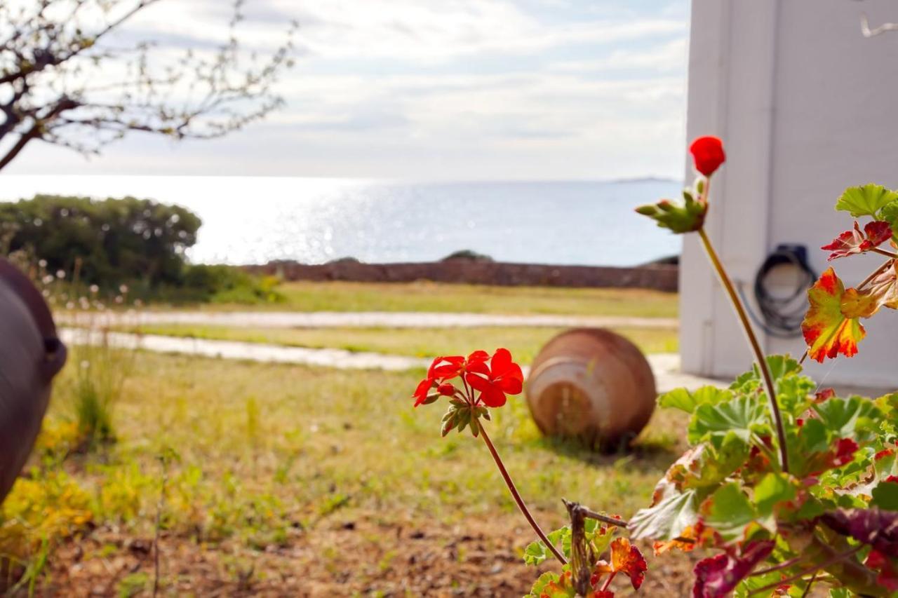 Aroura Homes 4Br Beachfront Villa Spétses Zewnętrze zdjęcie